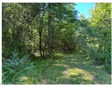 3605 Byhalia photo 3