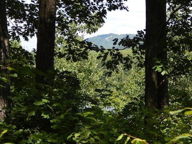 Lot 1 Main St, Springfield, NH 03284 - photo 2