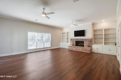 Photo Feb 20 2025, 3 21 55 PM-Edit