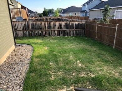 Backyard<|><|>