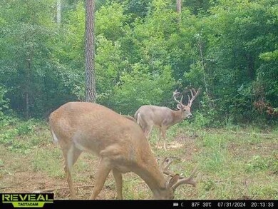 0 Seven Islands Rd unit 22542831, Madison, GA 30650 - photo 3