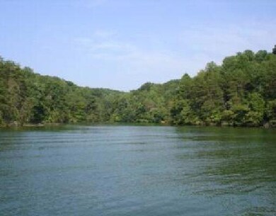 Lot 13 Minnow Ln, Goodview, VA 24095 - photo 5