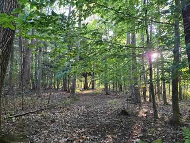 0 Nute Rd unit 19B 5060365, Madbury, NH 03023 - photo 2