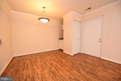 18336 Streamside Dr unit 101, Gaithersburg, MD 20879 - photo 4