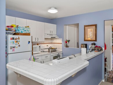 210 South Pine Street Fall Line 206-009-