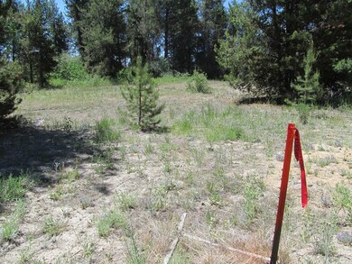 Pin where driveway would be located