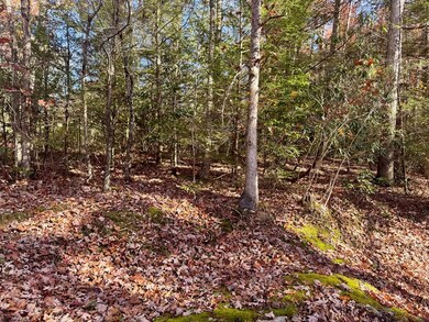 58 Martin Ln, Nallen, WV 26680 - photo 4