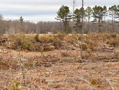 0 Center Point Rd unit 22469108, Hazen, AR 72064 - photo 6