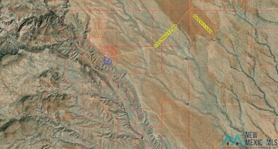 1148 Calle de Ranchos Rd, Truth Consq, NM 87901 - photo 3