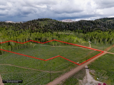 DJI_20250604143833_0055_LotLines