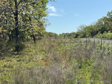 11 E Blue Creek Rd, Blocker, OK 74501 - photo 4