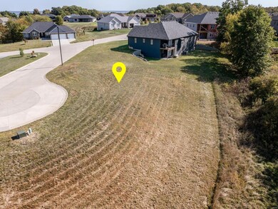 61 Mcintosh Ct, Hannibal, MO 63401 - photo 5