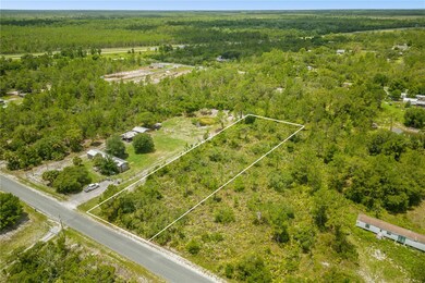 0 Tangerine Ln, Okeechobee, FL 34972 - photo 3