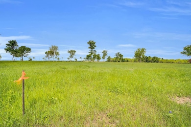 TBD Lot 175 Waterfront Club, Corsicana, TX 75110 - photo 6