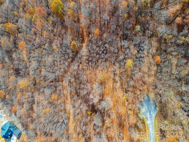 242 Nottingham Dr, Mill Spring, NC 28756 - photo 5