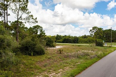 325 Gloria Blvd, Lake Placid, FL 33852 - photo 7