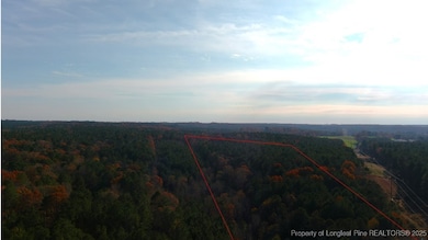 TBD Lick Creek Rd, Sanford, NC 27330 - photo 2