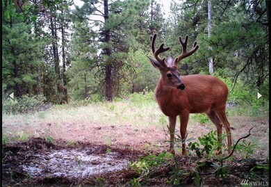 0 Pine Creek Rd unit 1745044, Bickleton, WA 99322 - photo 6