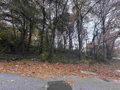 2308 Ketchum Rd, Memphis, TN 38114 - photo 4