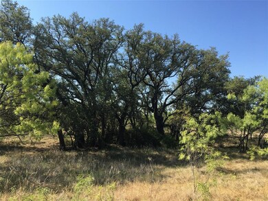 12368 County Road 129, Brownwood, TX 76801 - photo 7