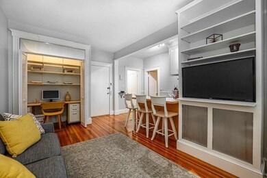 149 Winthrop Rd unit 4, Brookline, MA 02445 - photo 4