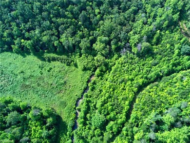 Bold Creek runs through the property. Also see driveway coming into property on the right. By the creek was where seller had cleared the land to build