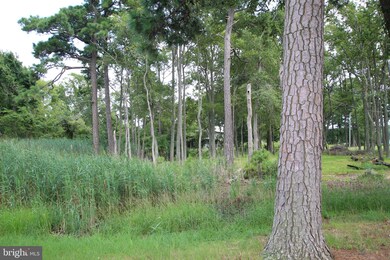 0 Dayton Rd, Vienna, MD 21869 - photo 5