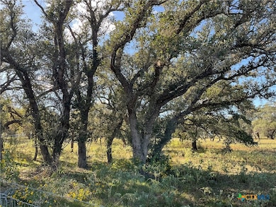 389 Hausmann Rd, Cuero, TX 77954 - photo 4