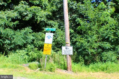 Lot 8 Sec 2 High Knob Rd, Old Fields, WV 26845 - photo 7