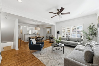 918 Ivanhoe St, Denver, CO 80220 - photo 2