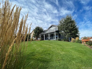 Plenty of crisp grass