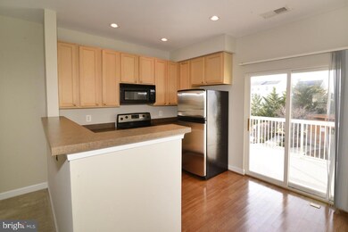 22581 Blue Elder Terrace, Ashburn, VA 20148 - photo 7