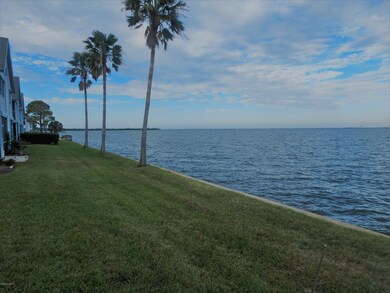 Back Yard View