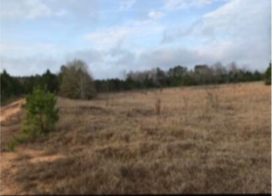 114 Madison Ln, Warthen, GA 31094 - photo 2