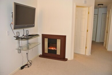 Living Area with Fireplace