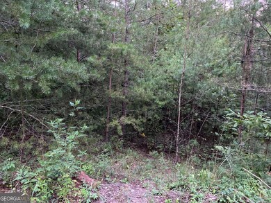 0 Whitecliff Dr unit 10371196, Ellijay, GA 30540 - photo 5