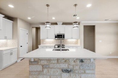 150 Feather Way, Fredericksburg, TX 78624 - photo 4