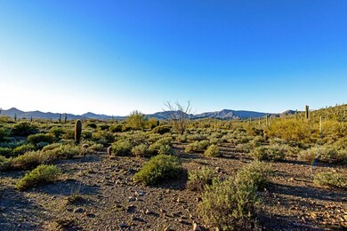 Western View From Center