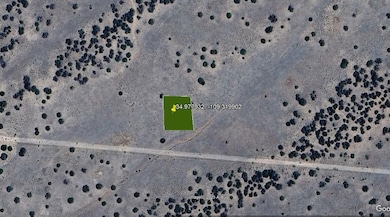 Apache unit AZ, Saint Johns, AZ 85936 - photo 6