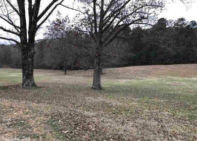 3 +/- Acres Cr 7806, Jonesboro, AR 72401 - photo 6