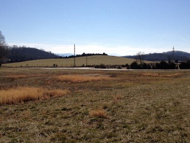 0 Timber Ridge Rd unit 716 126278, Fairfield, VA 24435 - photo 2