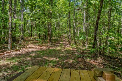 18 ACRES S Piney Spur Rd, Ellijay, GA 30536 - photo 7