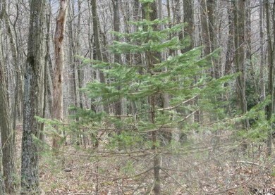 0 W 13th St unit 428276, Jim Thorpe, PA 18229 - photo 7