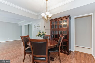 205 Skyhill Rd unit 1, Alexandria, VA 22314 - photo 5