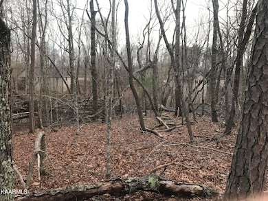 22 Harrell Ln, Crossville, TN 38558 - photo 3