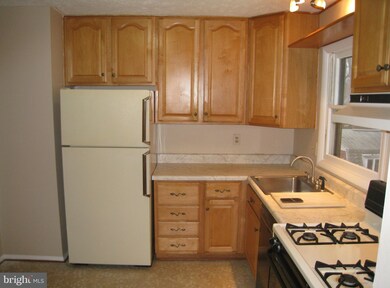 800 Salem Dr, Fredericksburg, VA 22407 - photo 3