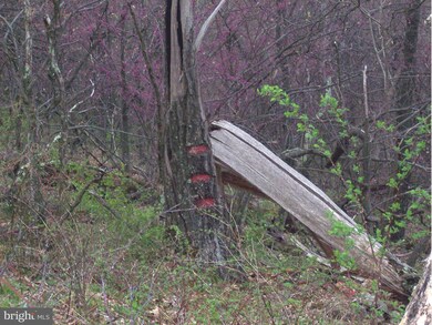 0 Hill Rd unit 1003439364, Warfordsburg, PA 17267 - photo 7