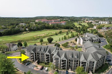 Wildwood (10)