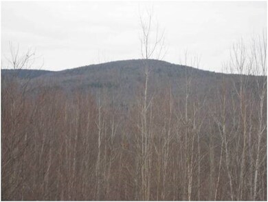 Lot 4 George Rd, Hebron, NH 03241 - photo 5