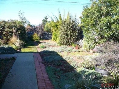 Front yard looking from the front door.